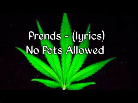 prends no pets allowed lyrics meaning